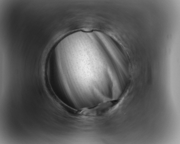 X0000088700055200706141437