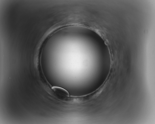 X0000088700056200706141437