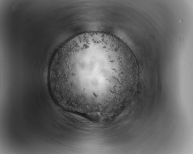 X0000088700058200706141437