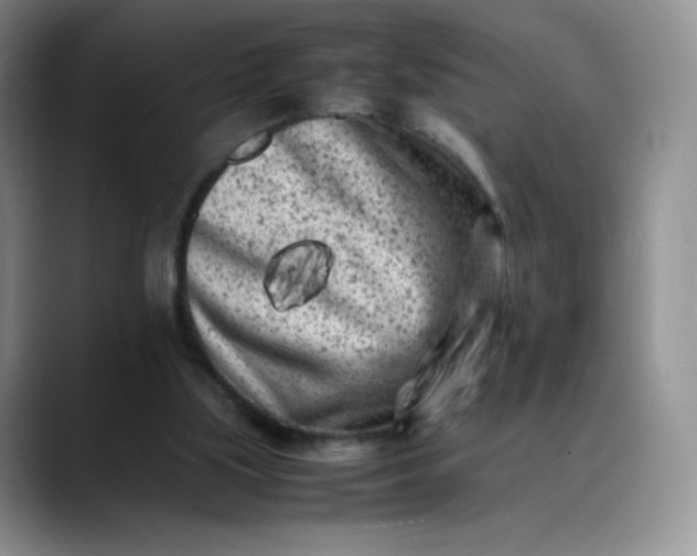 X0000088700059200706141437