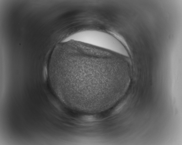 X0000088700061200706141437