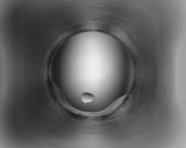 X0000088700064200706141437