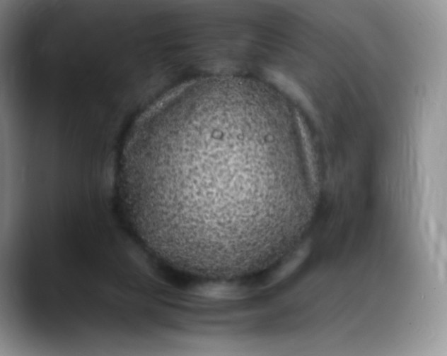 X0000088700065200706141437
