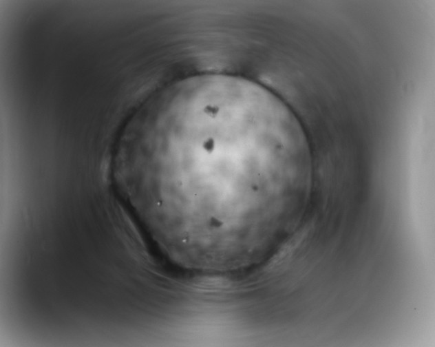 X0000088700066200706141437