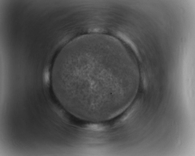 X0000088700067200706141437