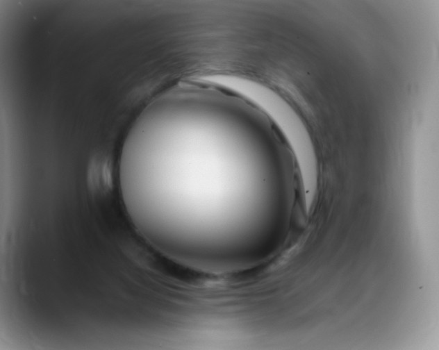 X0000088700068200706141437