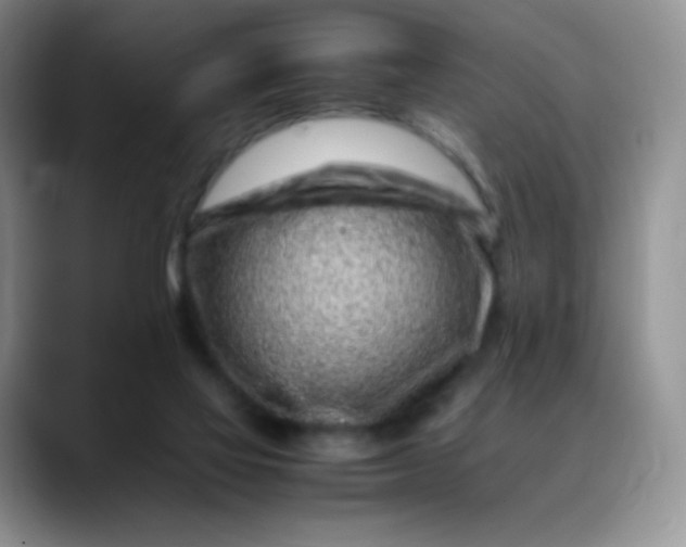 X0000088700069200706141438