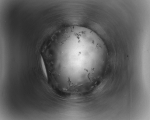 X0000088700070200706141438
