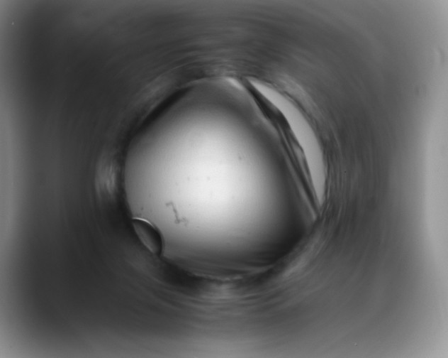 X0000088700071200706141438