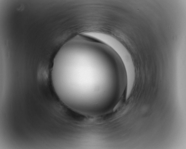 X0000088700072200706141438