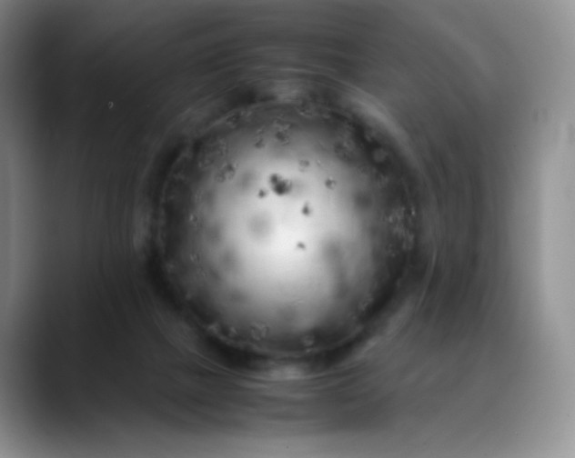 X0000088700073200706141438