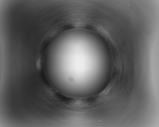 X0000088700074200706141438