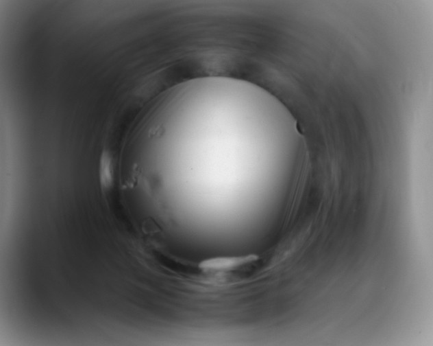 X0000088700075200706141438