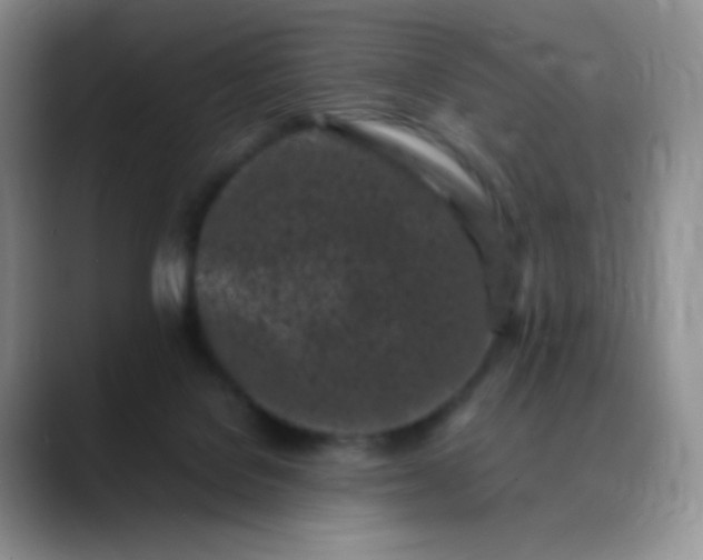 X0000088700076200706141438