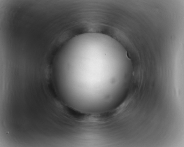 X0000088700078200706141438