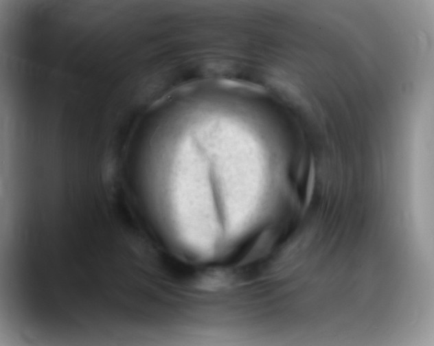 X0000088700079200706141438