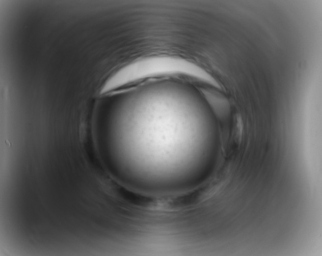 X0000088700080200706141438