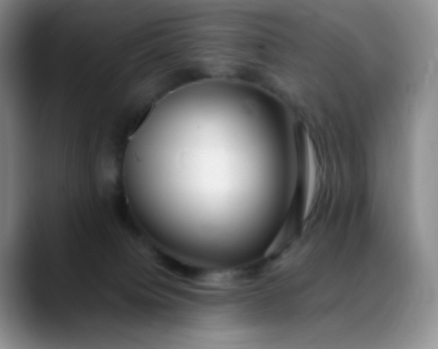 X0000088700084200706141438