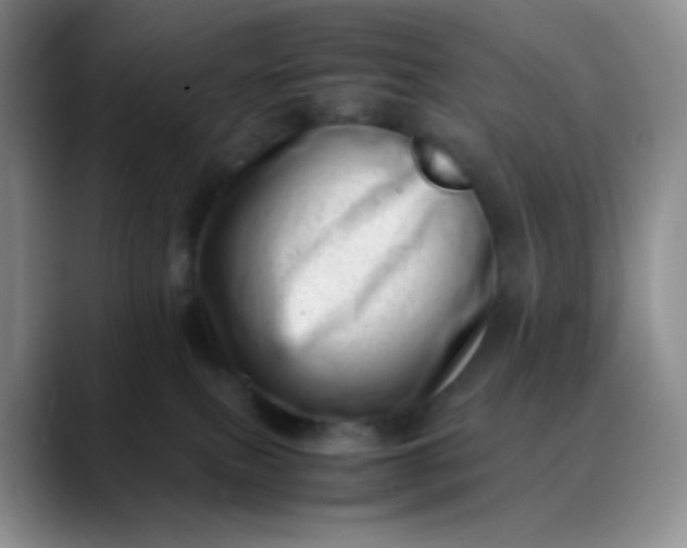 X0000088700087200706141438