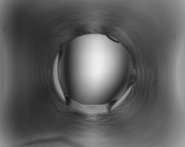 X0000088700088200706141438