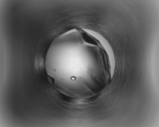 X0000088700089200706141438