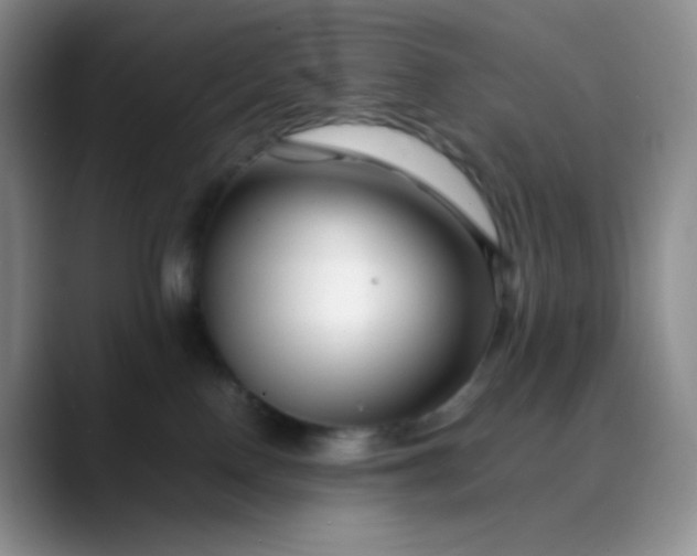 X0000088700090200706141438
