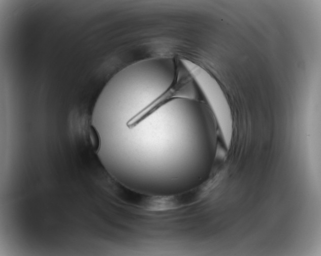 X0000088700093200706141438