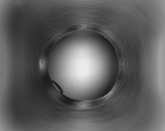 X0000088700094200706141438