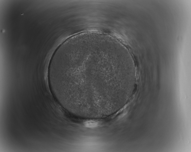 X0000088700099200706141437