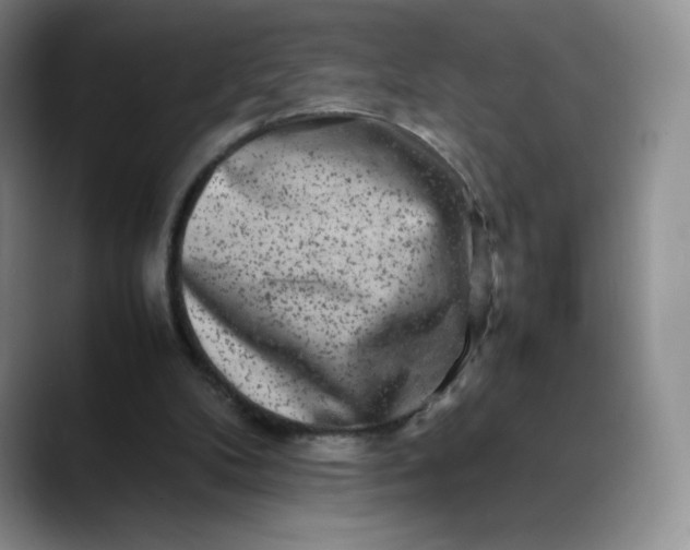 X0000088700104200706141437