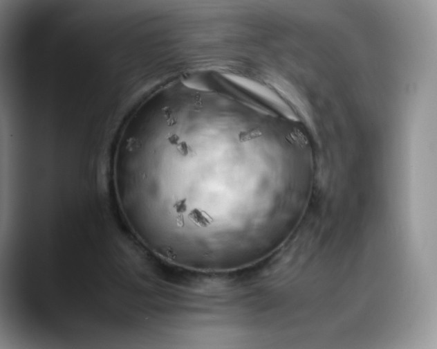 X0000088700107200706141437