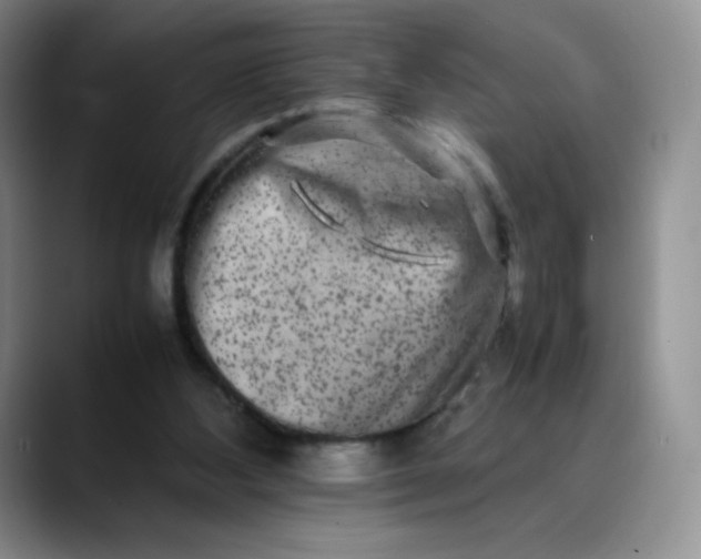X0000088700108200706141437