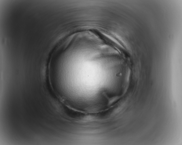 X0000088700111200706141437