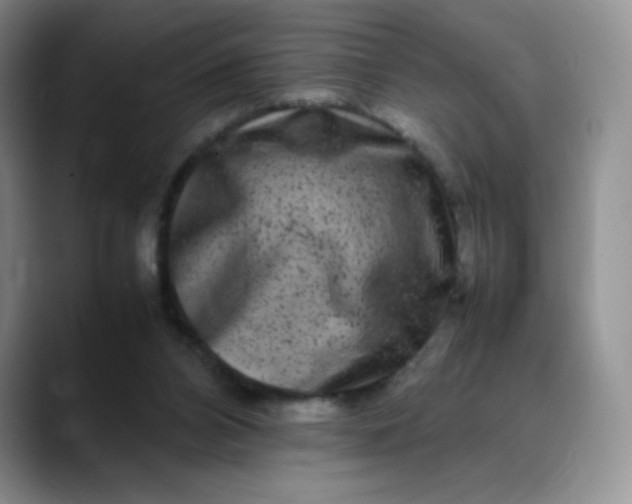 X0000088700112200706141437