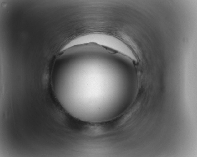X0000088700113200706141437
