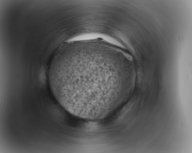 X0000088700114200706141437