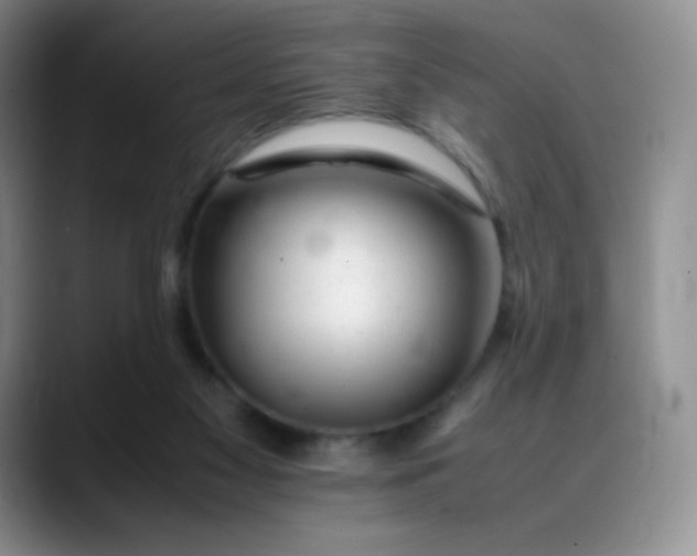 X0000088700117200706141437