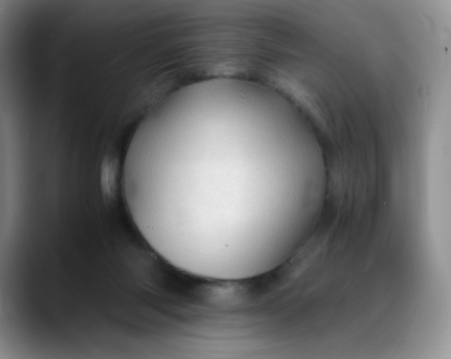 X0000088700118200706141437