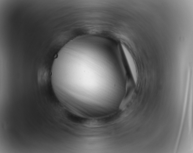 X0000088700123200706141437