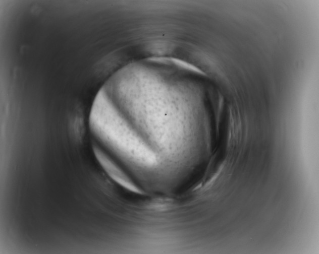 X0000088700128200706141437