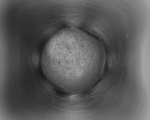 X0000088700130200706141437