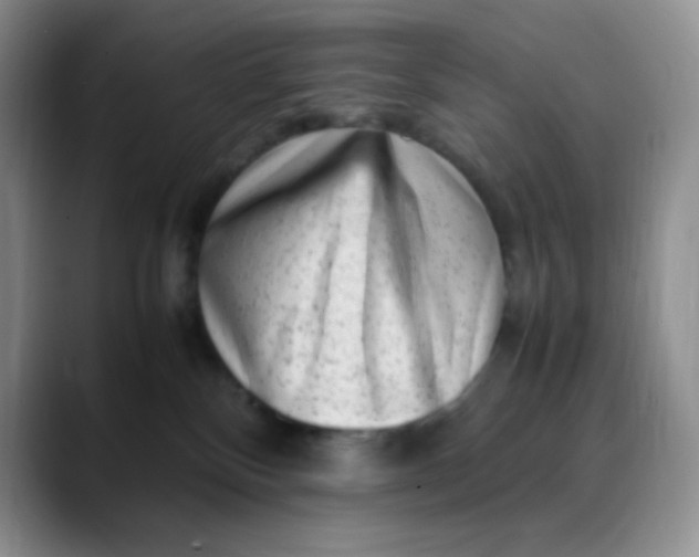 X0000088700136200706141437