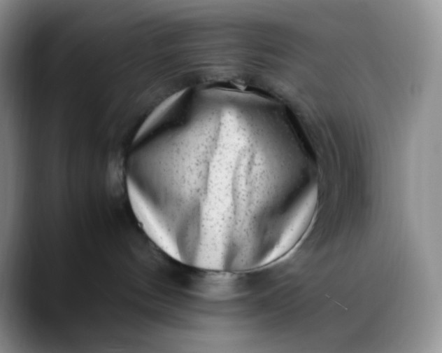 X0000088700144200706141437