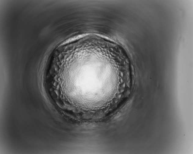X0000088700145200706141436