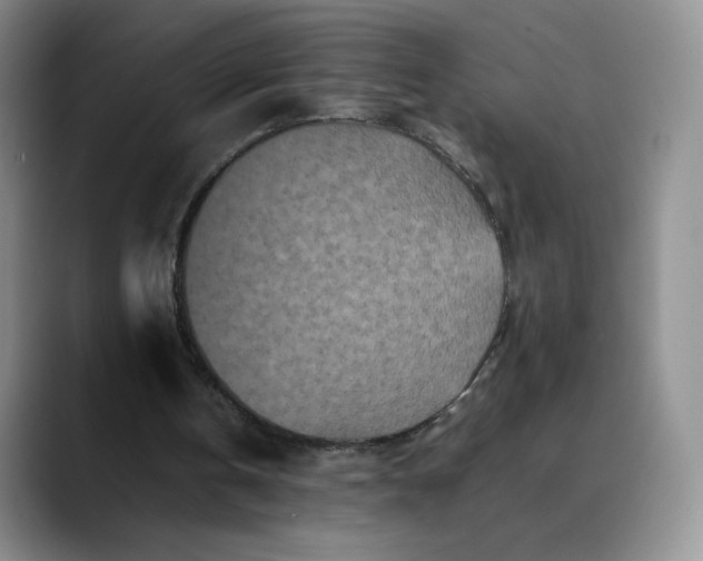 X0000088700146200706141436