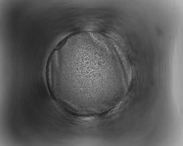 X0000088700147200706141436