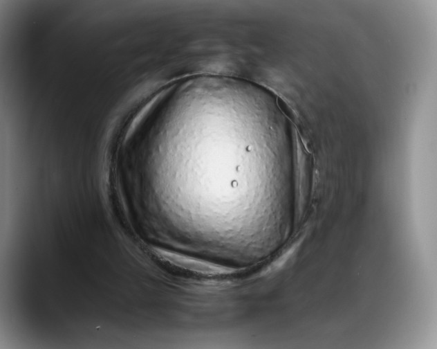 X0000088700149200706141436