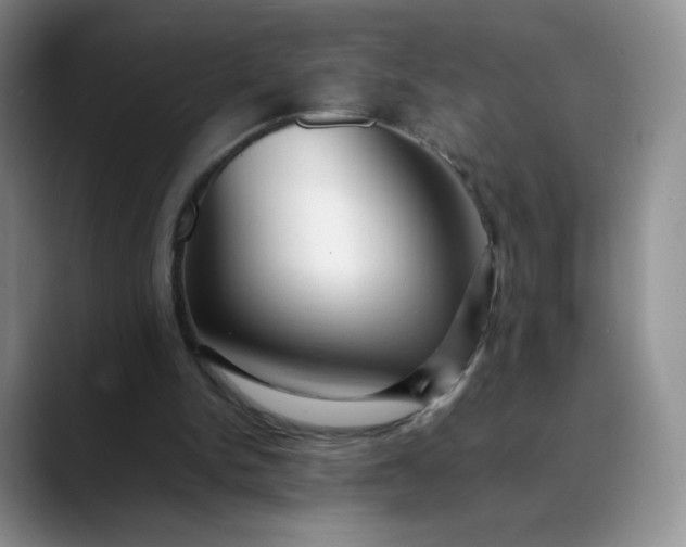 X0000088700150200706141436
