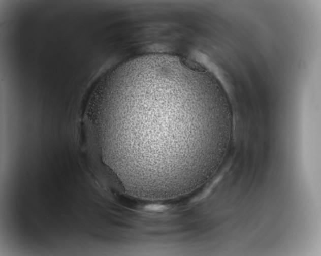 X0000088700153200706141436