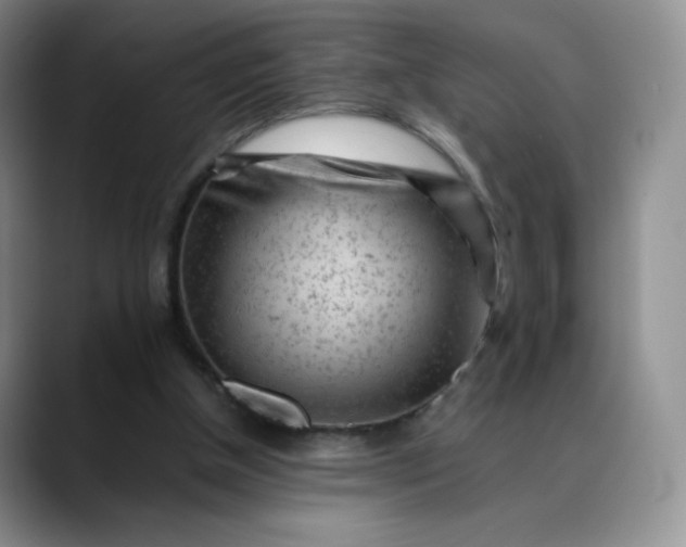 X0000088700154200706141436